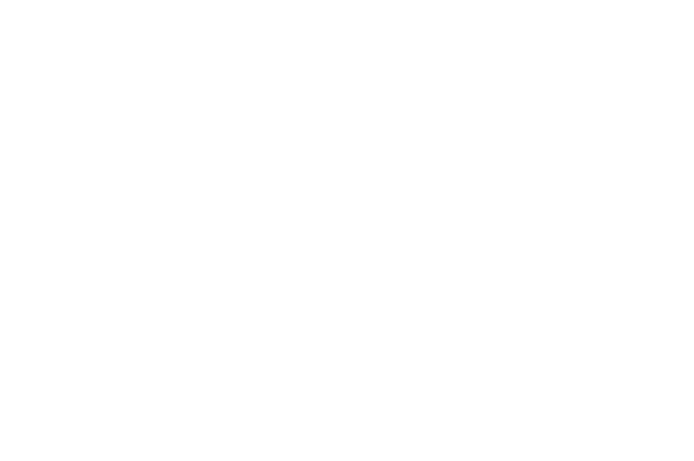 Coldest Chain logo in white